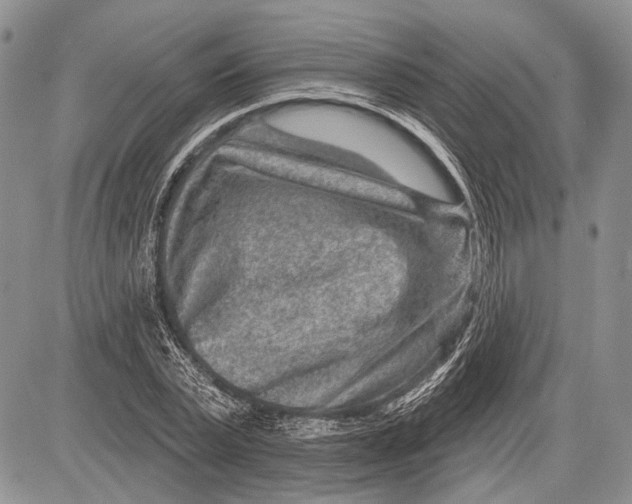 X0000081560783200702051148