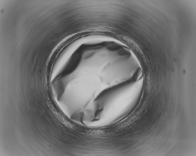 X0000081560784200702051148