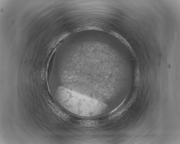 X0000081560785200702051148