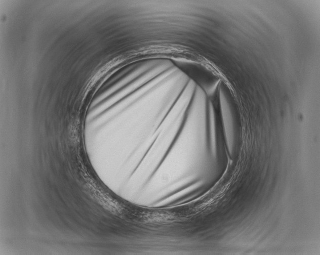 X0000081560786200702051148