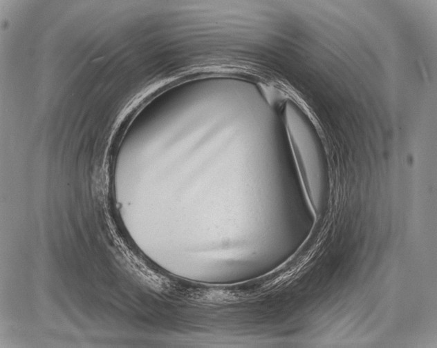 X0000081560787200702051148