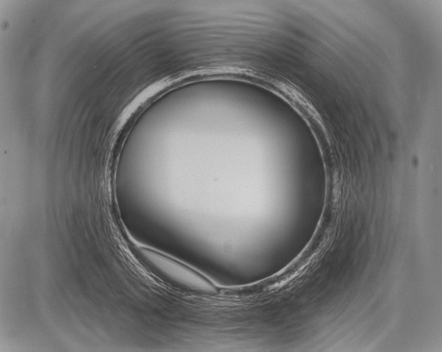 X0000081560789200702051148