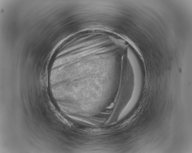 X0000081560791200702051148