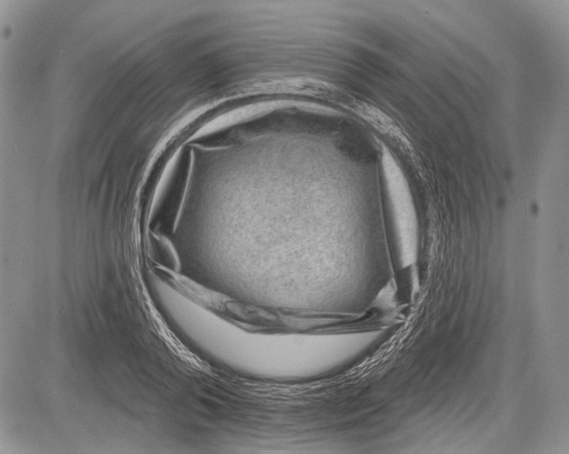 X0000081560792200702051148