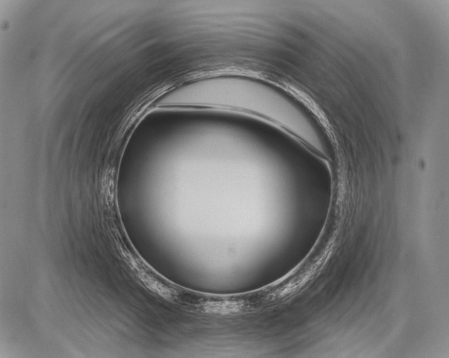 X0000081560793200702051148