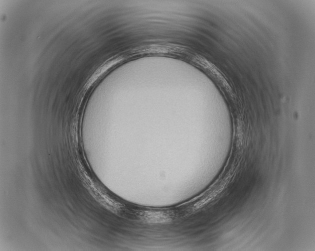 X0000081560794200702051148