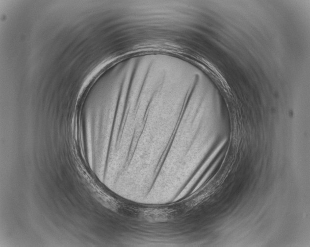 X0000081560796200702051148