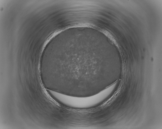 X0000081560797200702051148