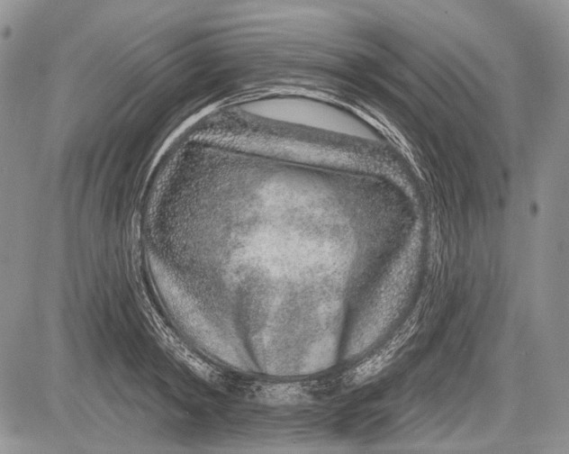 X0000081560798200702051148