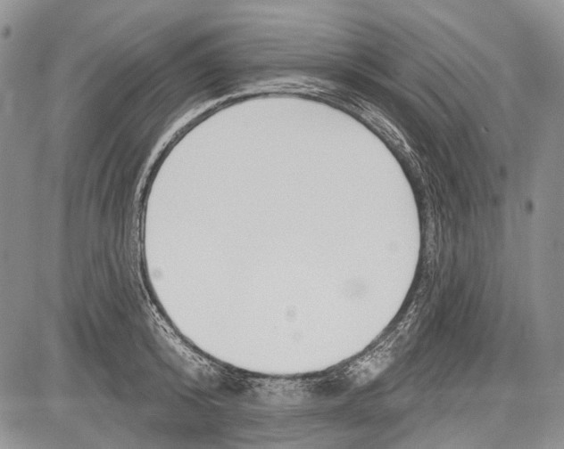 X0000081560800200702051148