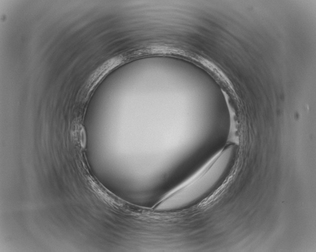 X0000081560801200702051148