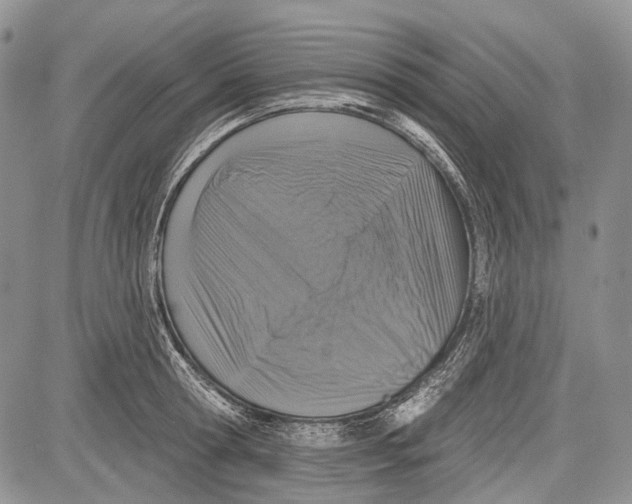 X0000081560802200702051148