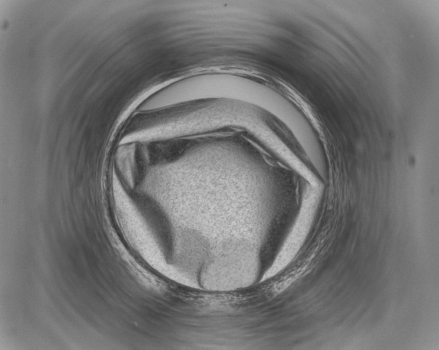 X0000081560803200702051148