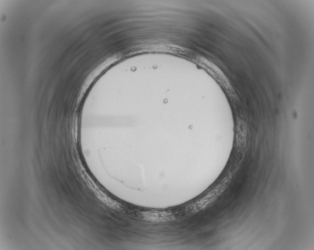 X0000081560804200702051148