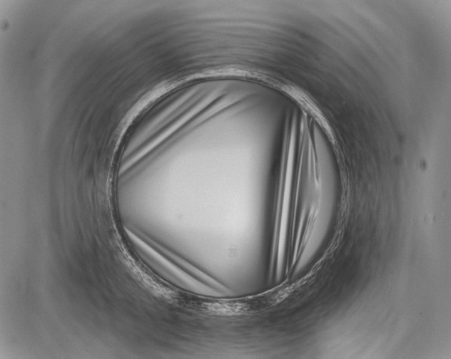 X0000081560805200702051148