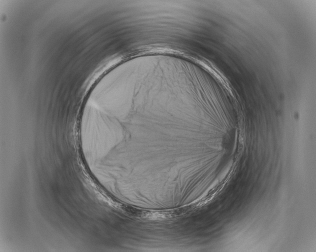 X0000081560806200702051148