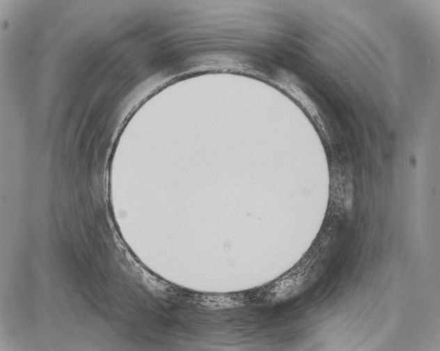 X0000081560807200702051148