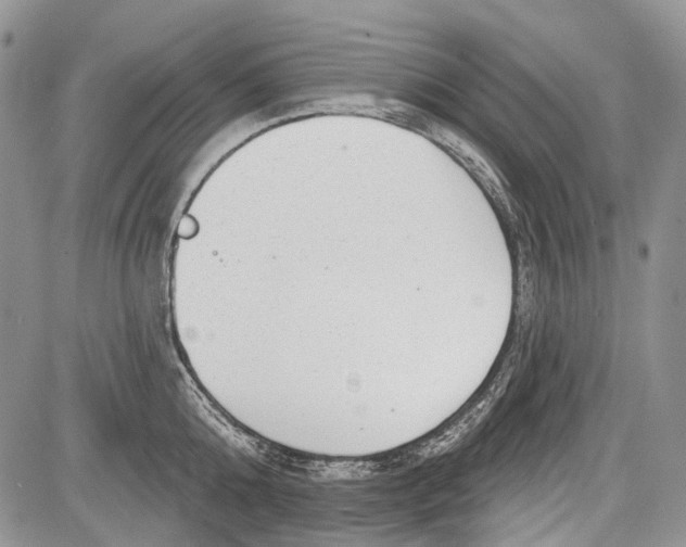 X0000081560808200702051148