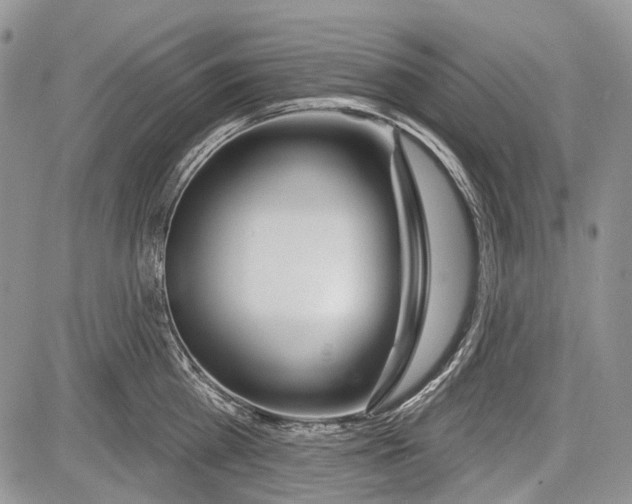 X0000081560809200702051148