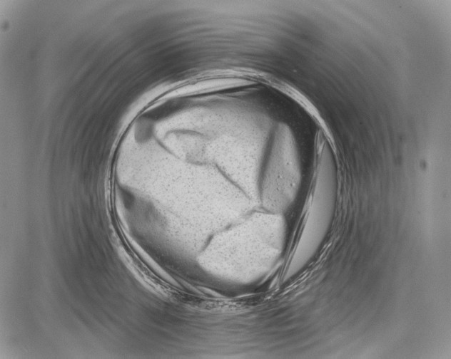 X0000081560811200702051148