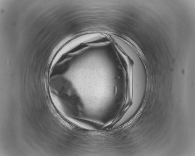 X0000081560812200702051147