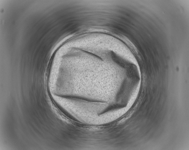 X0000081560814200702051147