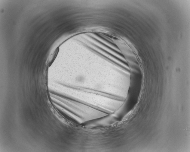 X0000081560816200702051147