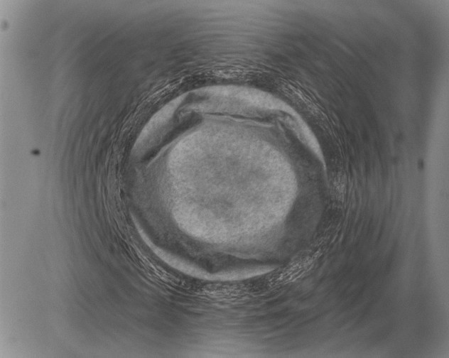 X0000081560817200702051147