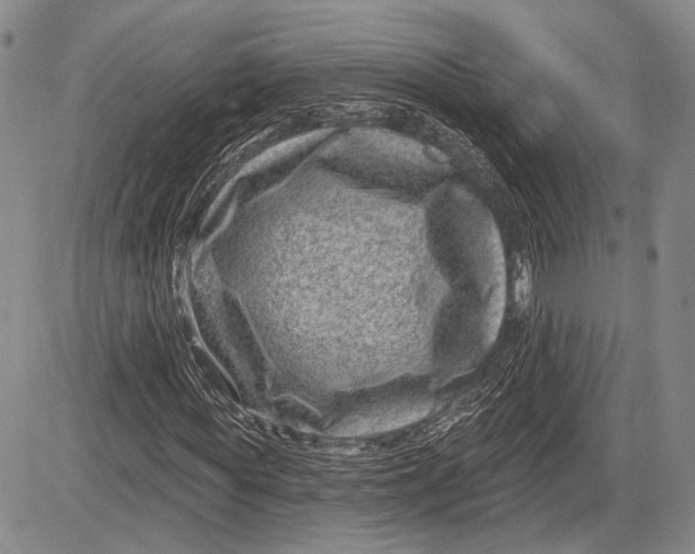 X0000081560819200702051147