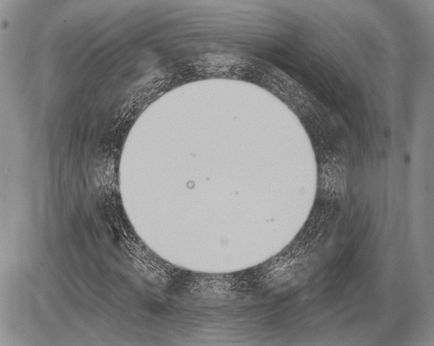 X0000081560820200702051147