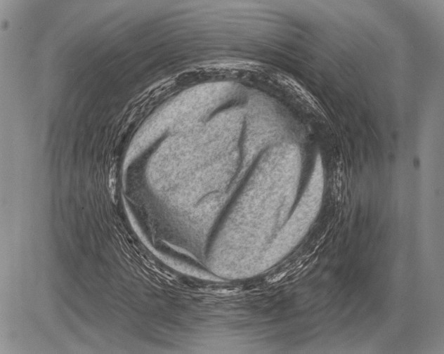 X0000081560821200702051147