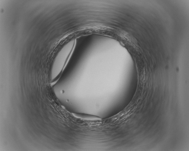 X0000081560822200702051147