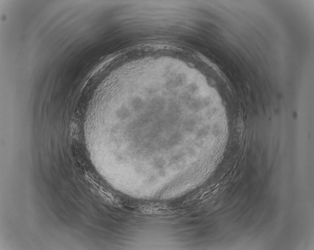 X0000081560823200702051147