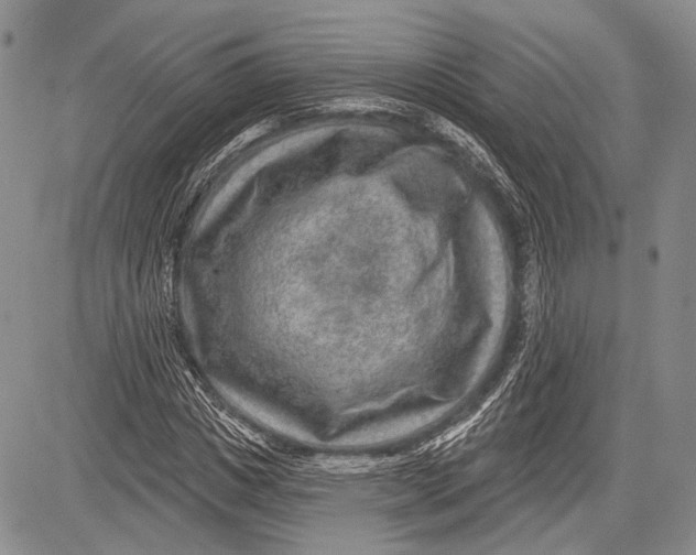 X0000081560825200702051147