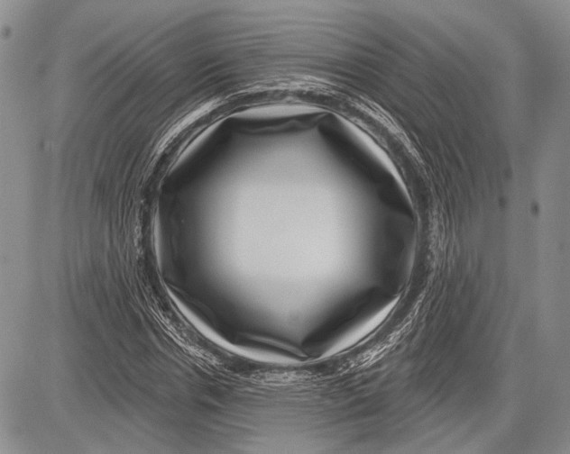 X0000081560826200702051147