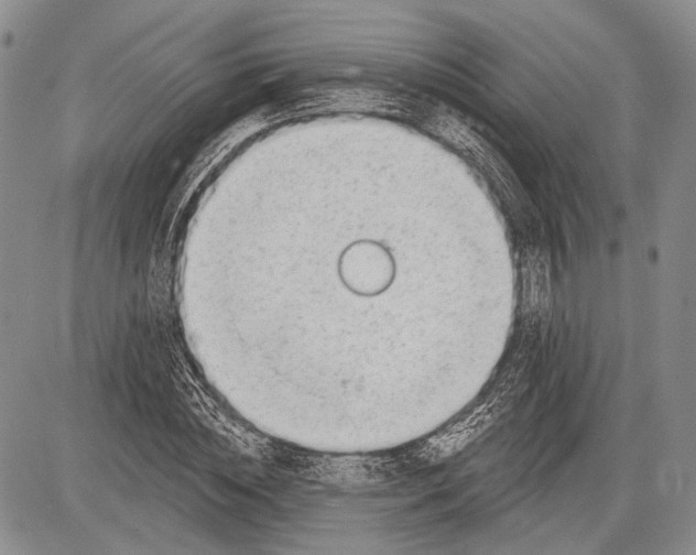 X0000081560828200702051147