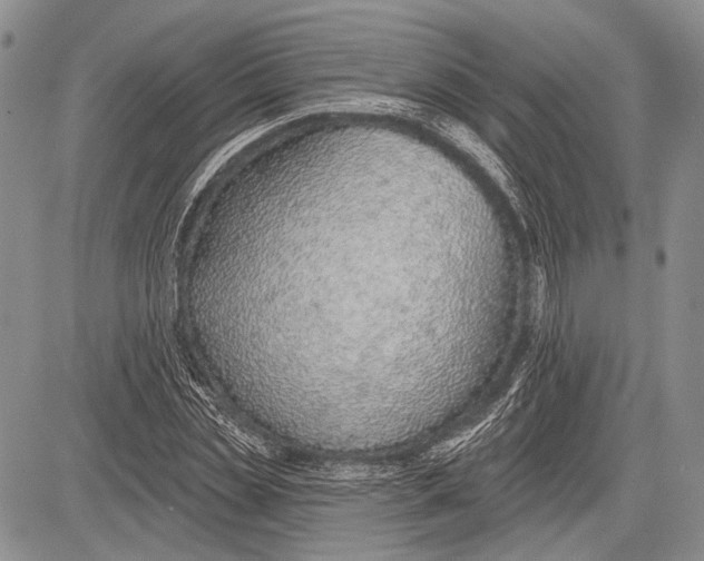 X0000081560829200702051147