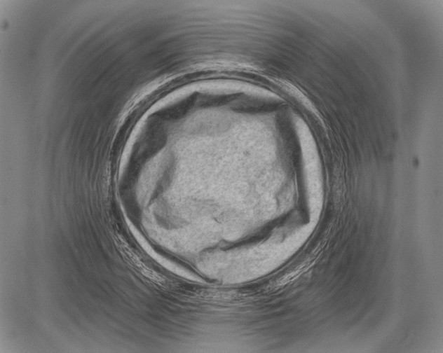 X0000081560831200702051147