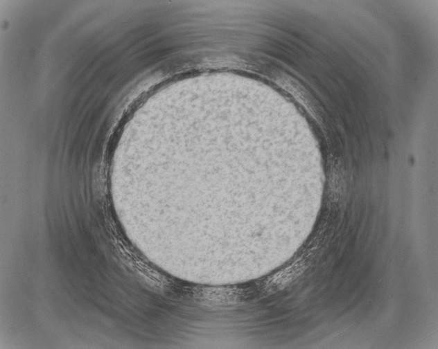 X0000081560832200702051147