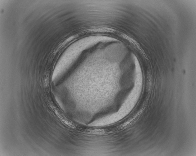 X0000081560833200702051147