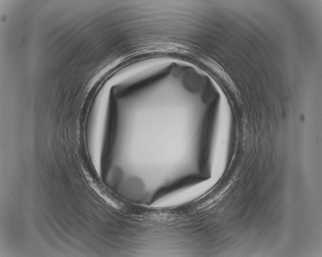 X0000081560834200702051147