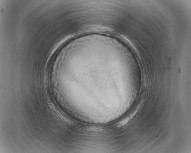 X0000081560835200702051147