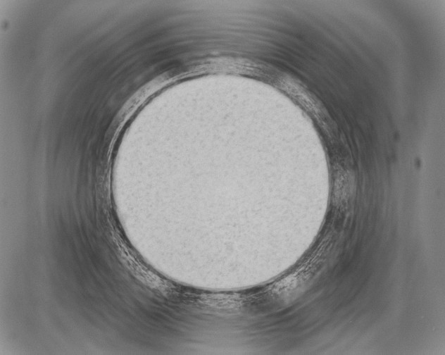 X0000081560836200702051147