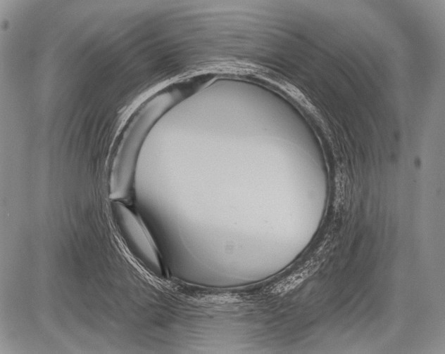 X0000081560838200702051147