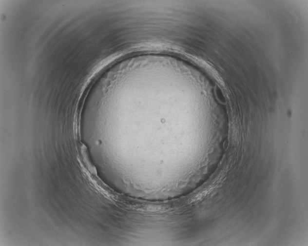 X0000081560839200702051147