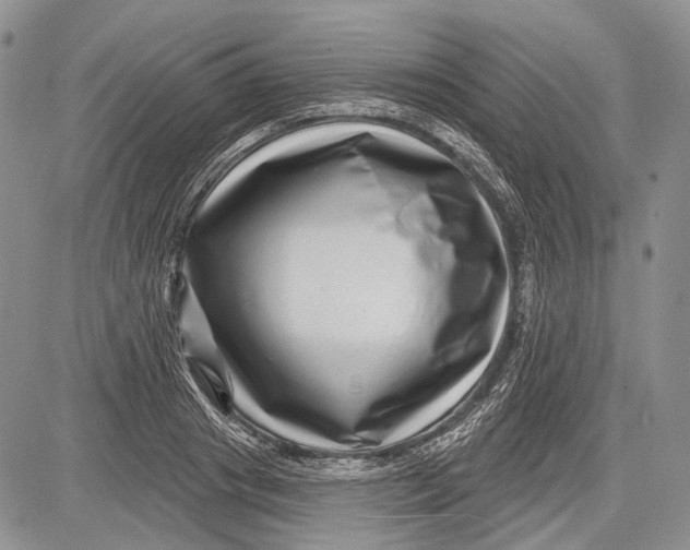 X0000081560841200702051147