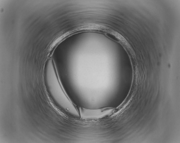 X0000081560842200702051147