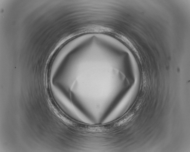 X0000081560843200702051147