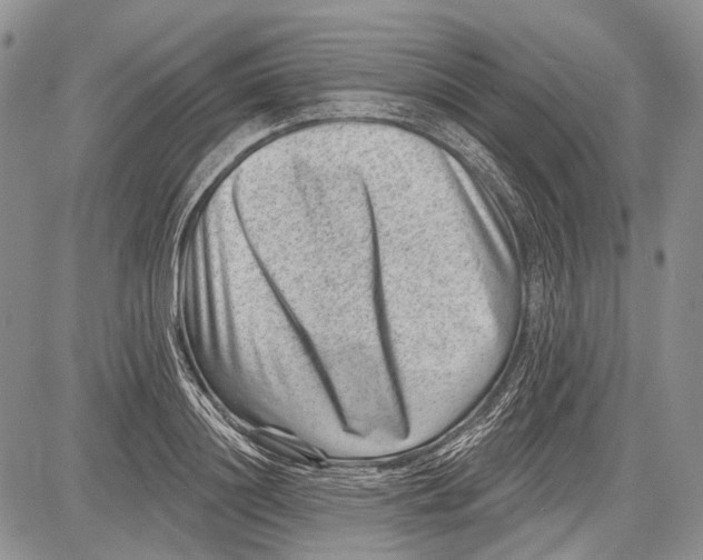 X0000081560844200702051147