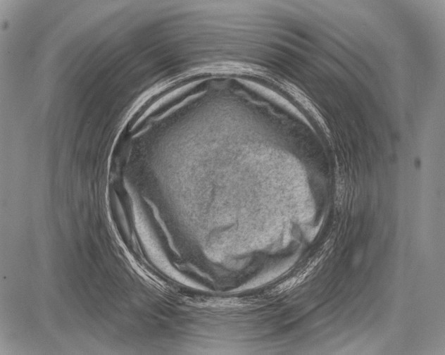 X0000081560845200702051147